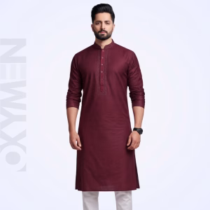 Regular Fit Embroidered Panjabi For Men