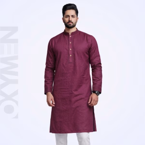 Regular Fit Embroidered Panjabi For Men