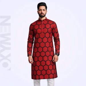 Regular Fit Embroidered Panjabi For Men