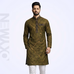 Regular Fit Embroidered Panjabi For Men