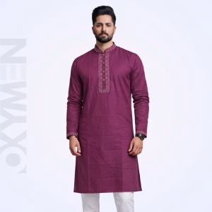 Regular Fit Embroidered Panjabi For Men