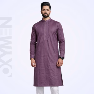 Regular Fit Embroidered Panjabi For Men