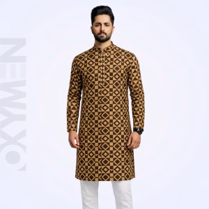 Regular Fit Embroidered Panjabi For Men